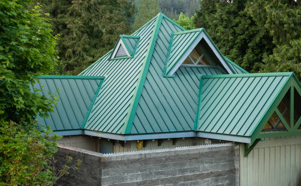 Best Roof Maintenance and Cleaning  in Hohenwald, TN
