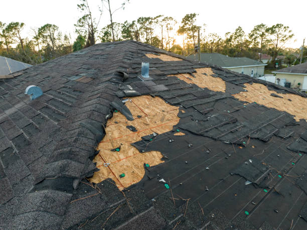 Best Rubber Roofing (EPDM, TPO)  in Hohenwald, TN