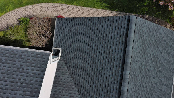 Best Roof Coating Services  in Hohenwald, TN