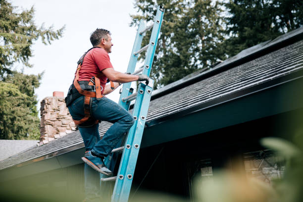 Best Metal Roofing Installation  in Hohenwald, TN